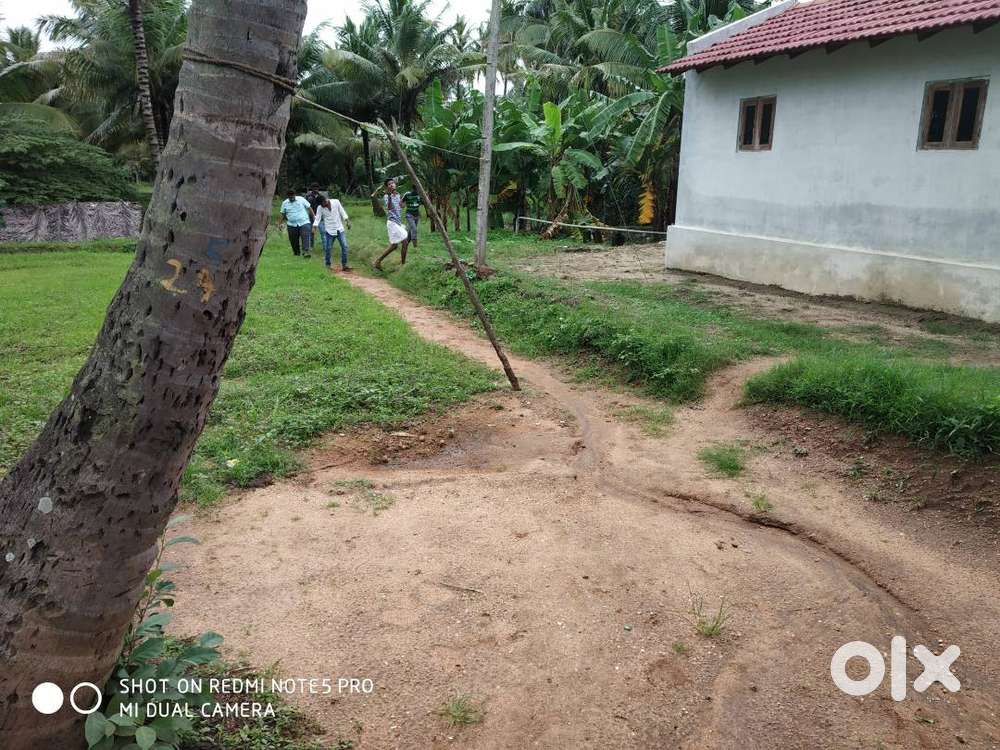 Village Rental House