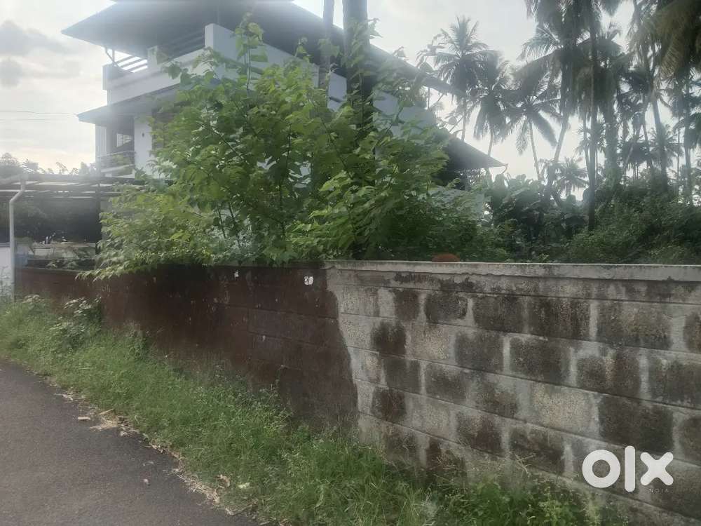 Thrissur mission quarters near 12.50 cent plot for sale