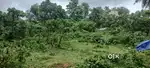 Plot for sale 110000 per cent