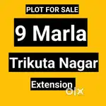9 marla plot for sale Trikuta ngr Extension
