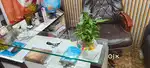 Shop counter, office counter sofa table dukan