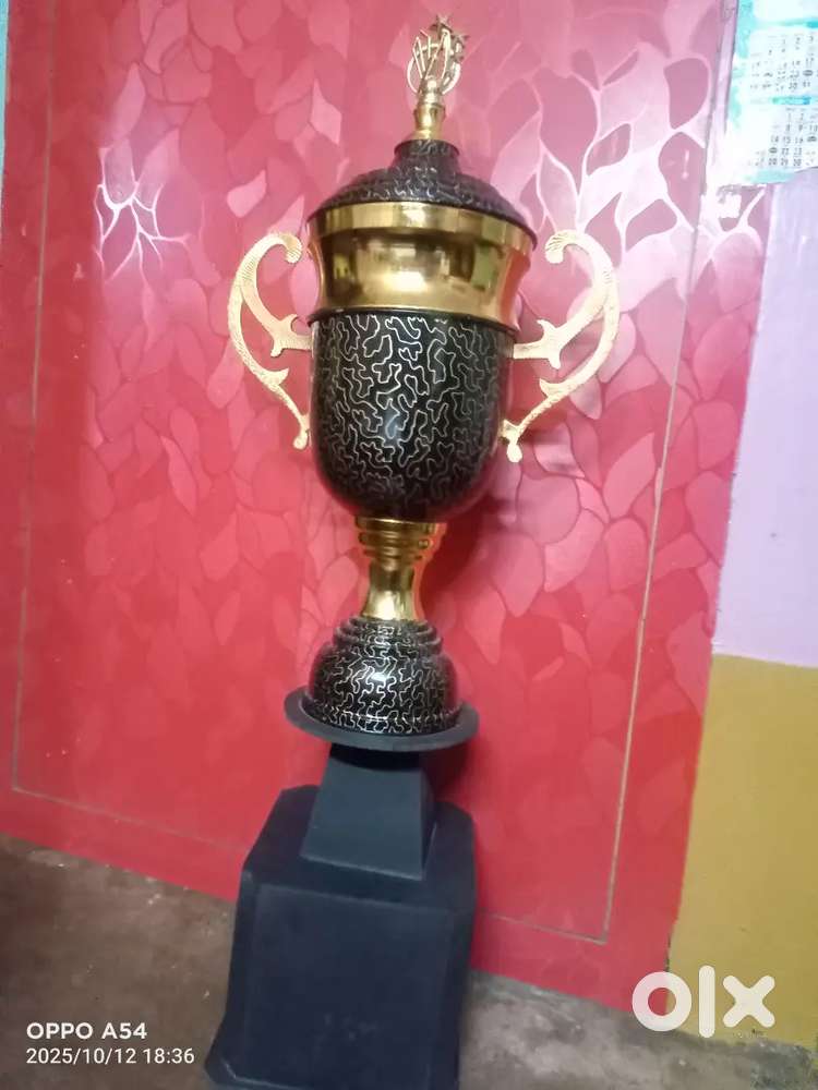 Cricket trophy
