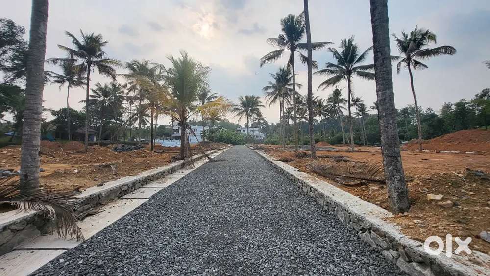 Kothamangalam House plots starting from 1.35 L/centTar road frontage.