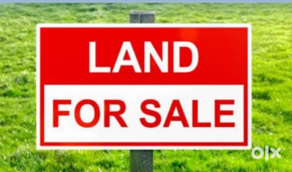 Hojai Borpukhuri Good place  myadi patta