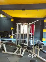 Life line brand multi gym