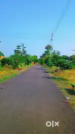 Balaji group