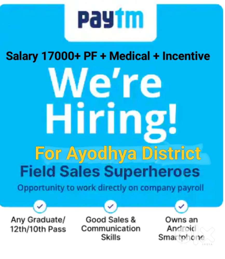 Sales Executive