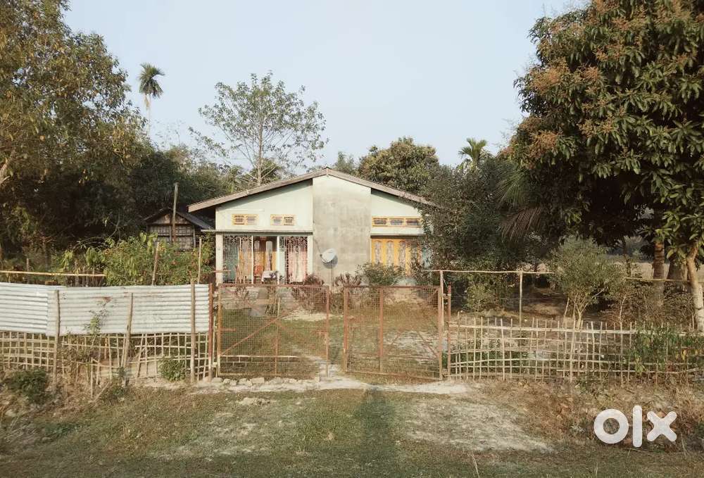 ১বিঘা ১৩লোচা মিয়াদি পত্ৰা মাটিত এটা আসাম টাইপৰ ঘৰ বিক্ৰী কৰা হ'ব