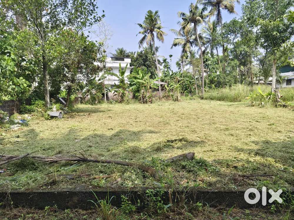 6 cnt plot Kakkanad nr 8.75 pr cnt Negotiable Kangarappady