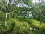 PLOT FOR SALE NEAR OORUTTAMBALAM