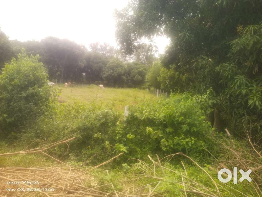 Land sales in Chengalpattu villiyambakam