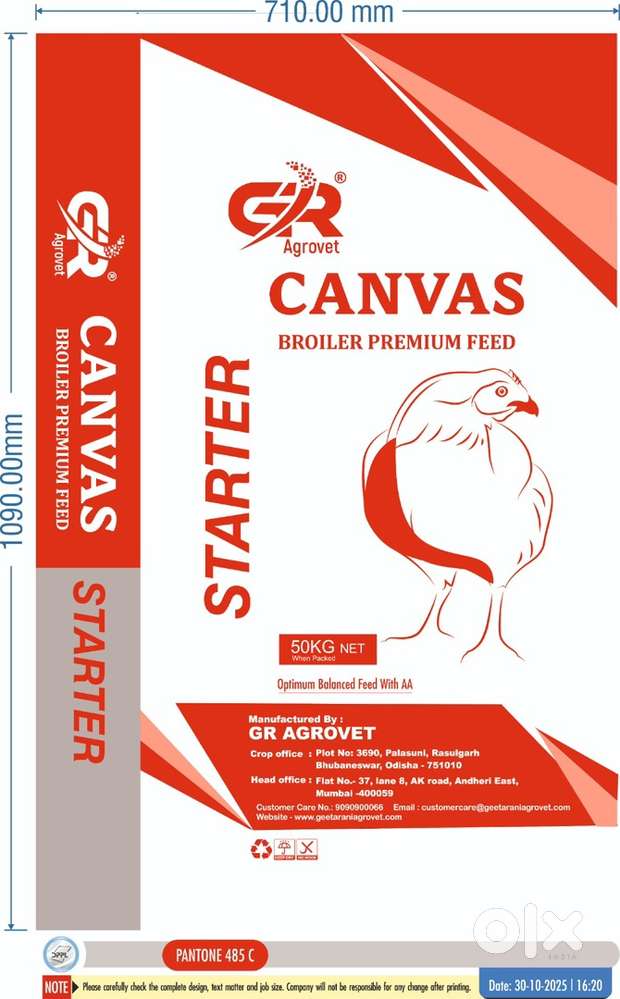 Jr Accountant Female candidate prefer