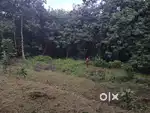 15 cent plot for sale near pala , cherpunkal, kadaplamattam