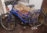 Avon cycle