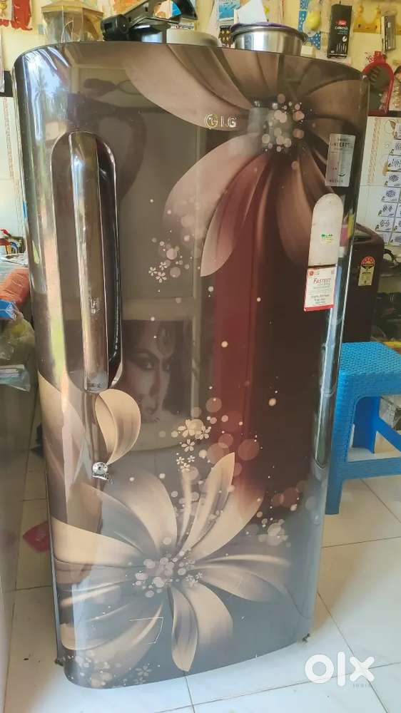 LG 215 L 5 Star Direct-Cool Single Door Refrigerator