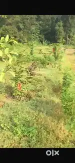 3.5 Bigha Land for Lease