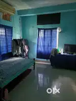 need room mate