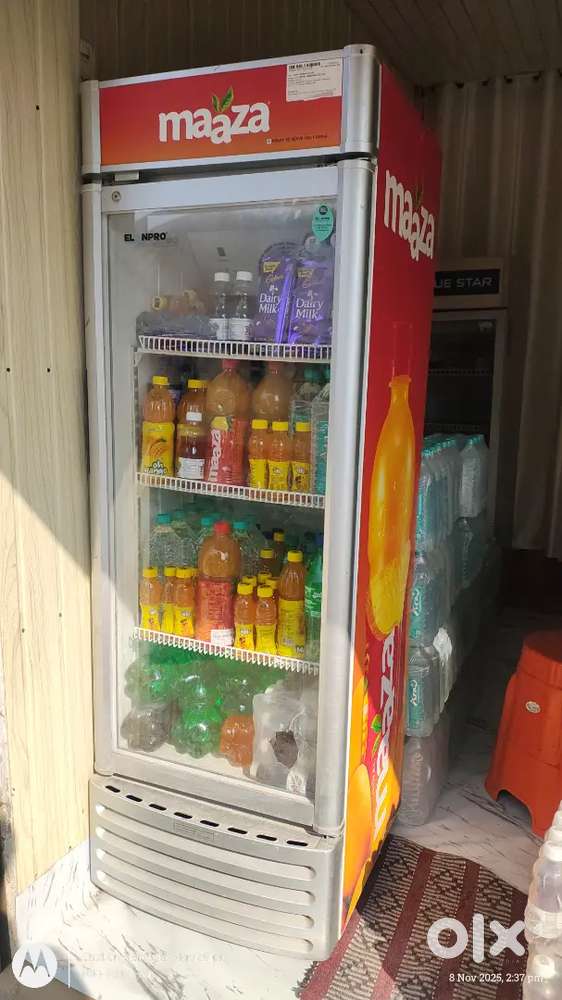 Maza fridge only 6 month used