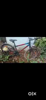 Urban train cycle