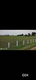 Agricultural Land for Sale – 3 Acres