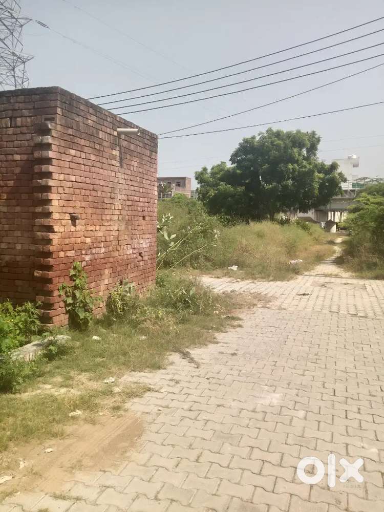 Double gali plot 150 gaj