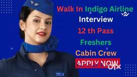 Airport Airlines staff require now
