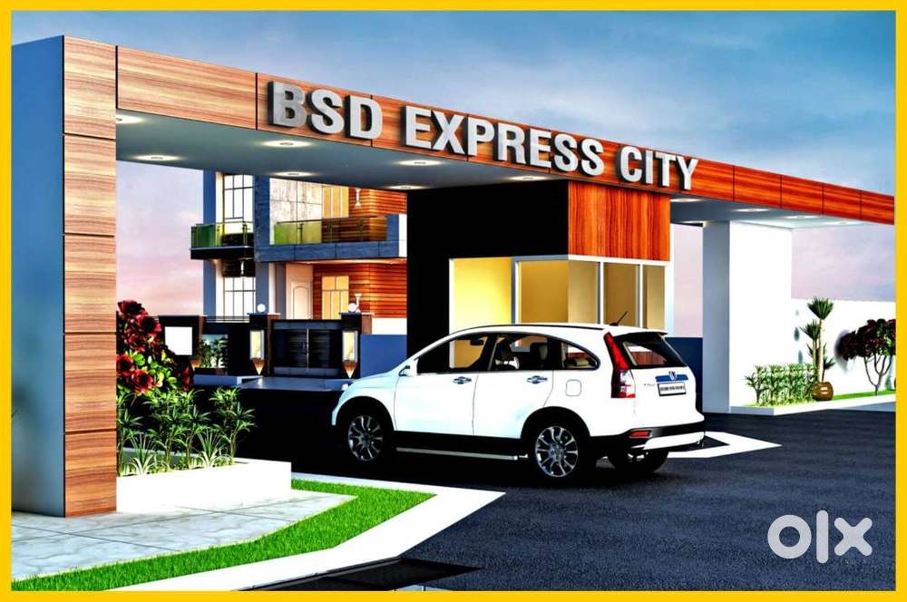 Digital Marketing Manager