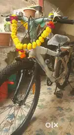New cycle only 8 months old