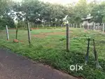 Land for sale at kizhakambalam