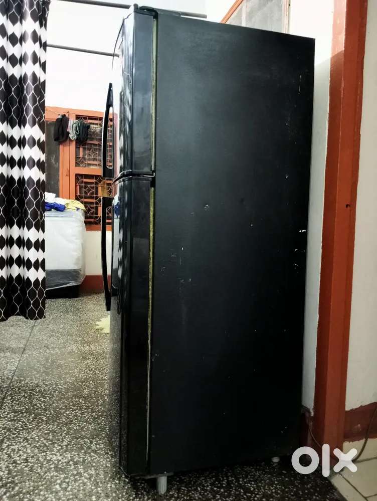 Fridge dabl door