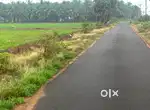 Agricultural land in senjeimalai