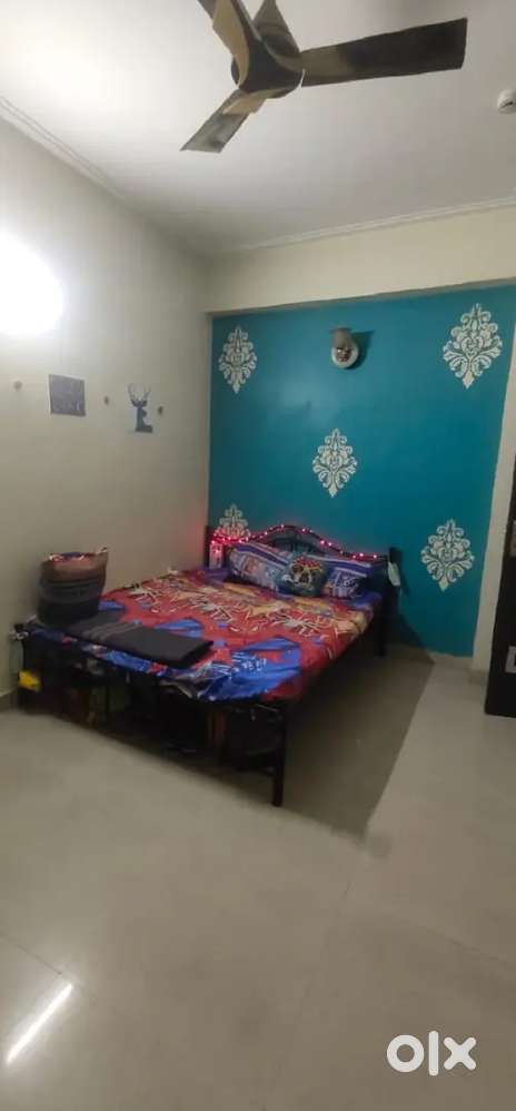 Female flatmate need