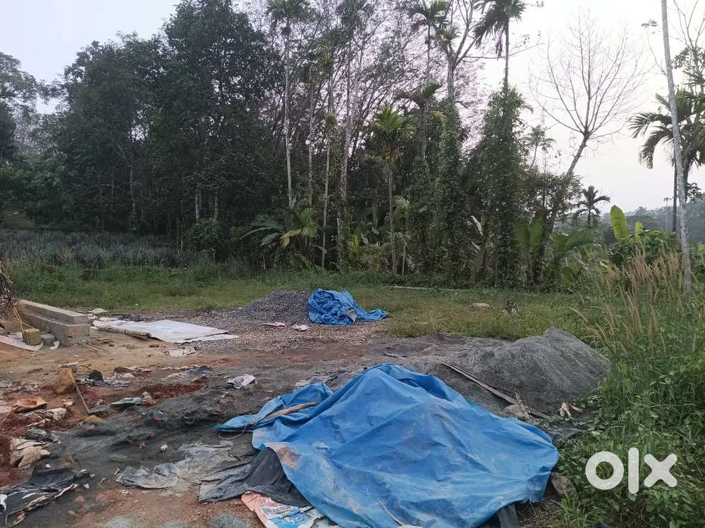 Thattammugal near 5 cent houseplot infoapark 16 km only