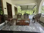 Sitout Cane Chair