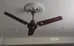 Celling Fan for sell