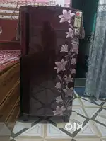 LG freeze with 10 year warranty