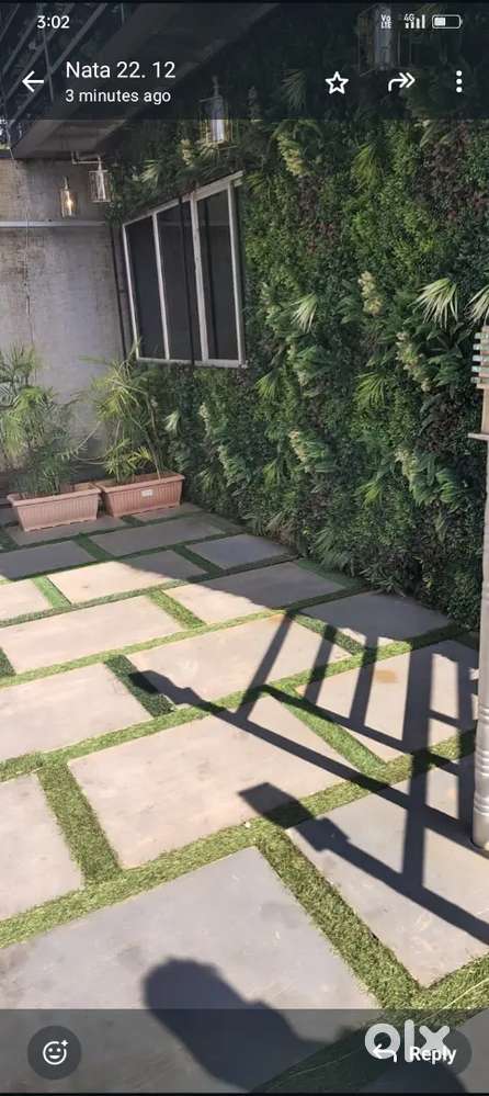 Land in phulwari sarif. Colony area on 25 feet road
