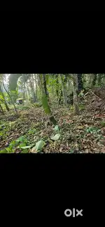 കുന്നത്തുകാൽ 14 സെന്റ് വസ്തു വിൽപ്പനയ്ക്ക്  മെയിൻ റോഡിൽ നിന്നും അര kM