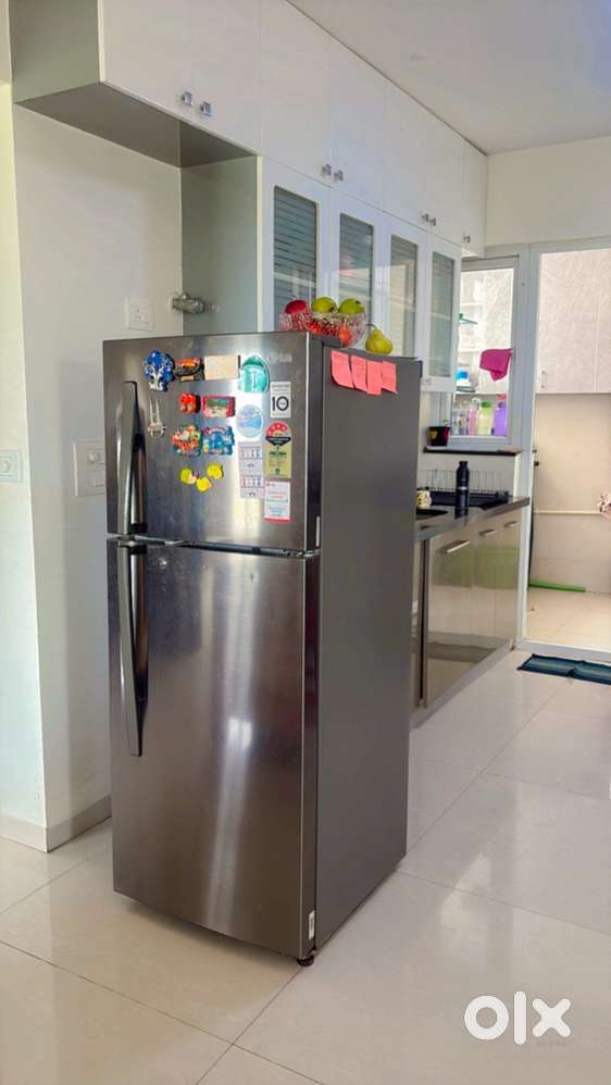 LG double door refrigerator, 258L capacity, 4 star energy saving