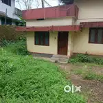 plot 15 cents, plot Road axis near 5 th flyover Kozhikode for sale