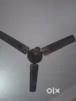 छत का pankha और एक तूफान pankha or गैस Fen hai