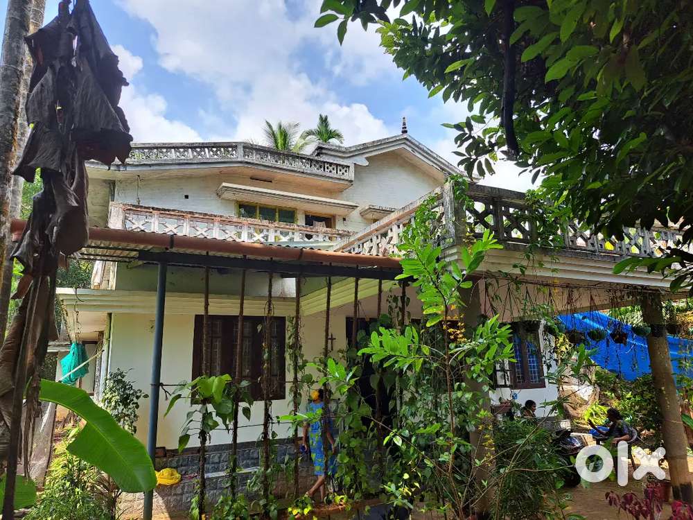 For sale  25 cents Land and house