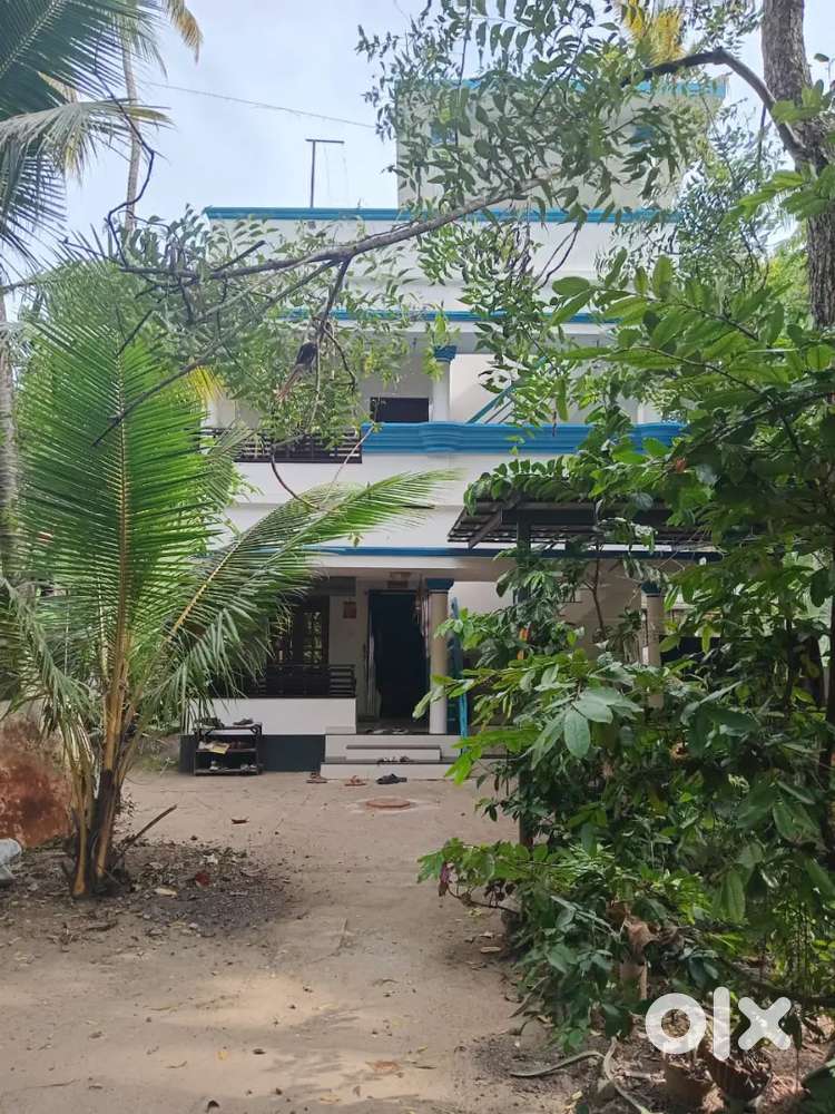 Family friendly house for rentOwner in ground floor.