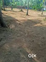 5 Cent Residential Land For Sale at Pallikulam, Kannur (ML)