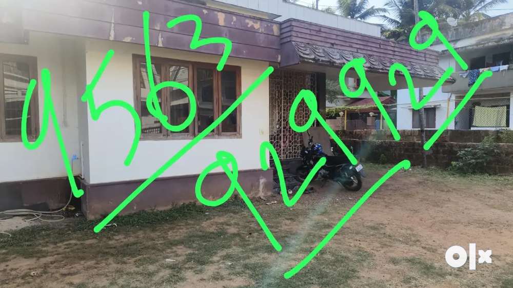 Lease in kannur naluvayal