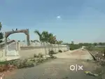 Datia highway