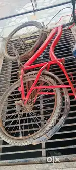 Bycycle want to sell