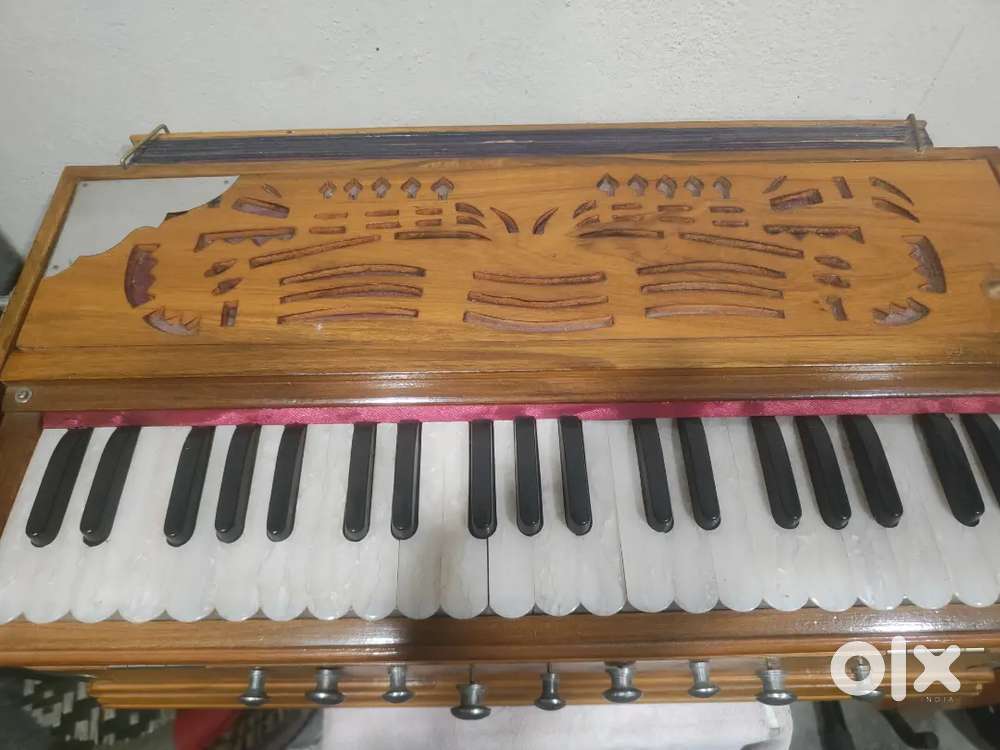 Harmonium only 6 month old