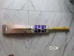 SS Kashmir Willow cricket bat