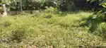 4 and 6 സെന്റ് plot for sale in vellimadukunnu near jdt madhyamam